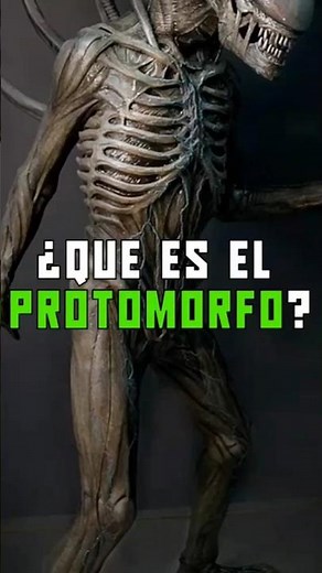 What is the Protomorph? #xenomorph #alien