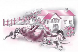 The Bear Story Summary, Explanation, Word Meanings Class 7