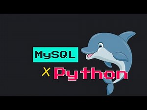 Create a MySQL Database Using Python | 2MinutePy