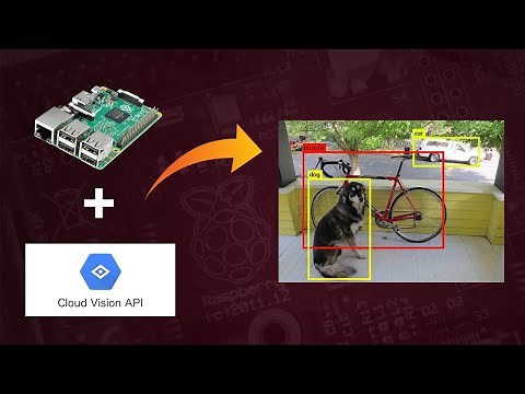 Object Detection in Any Raspberry Pi using Google Vision API with Python