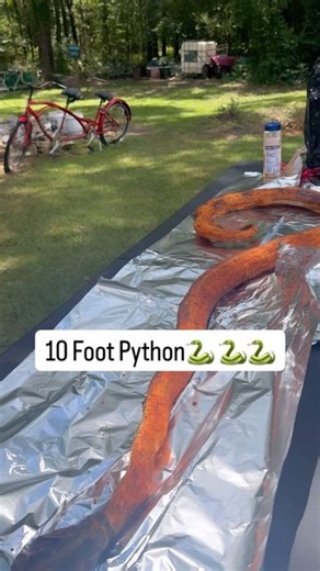 Bernard Hardison | 10 foot python cook🤠🤠🤠🐍 #foryou #foryoupage #explorepage✨ #explore #foodporn #food #foodphotography #foodblogger #foodstagram #foodie... | Instagram