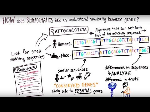 What is Bioinformatics?
