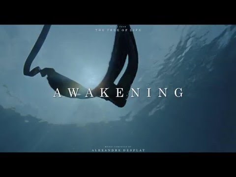"The Tree of Life Soundtrack - Awakening