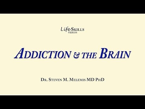 Understand Addiction and the Brain