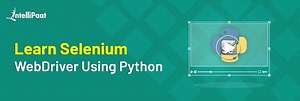 Selenium Webdriver with Python