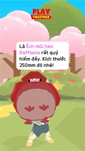 Images of 13 new frog species 🐸 #playtogether #playtogethervng #ptgcreator #dedine