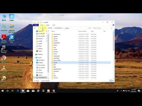 How to Restore Old MySQL Database to New XAMPP Installation [Tutorial]
