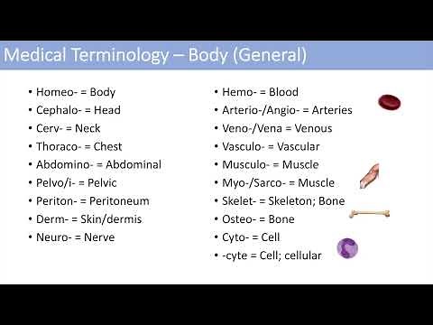 Medical Terminology - The Basics - Lesson 1