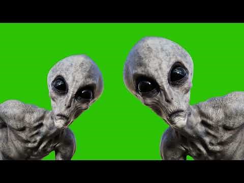 Green Screen Alien Gray Abduction UFO 4K