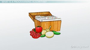 What is an Algorithm in Programming? - Definition, Examples & Analysis