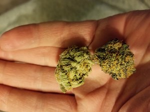 Starfighter | Marijuana Strain Reviews
