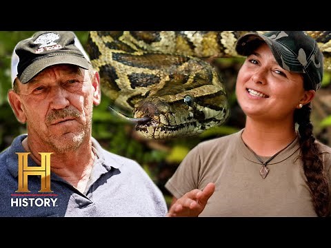 New Generation of DEADLY Pythons | Swamp People: Serpent Invasion (Season 5) | History