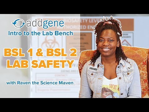 BSL 1 & BSL 2 Safety - Intro to the Lab Bench