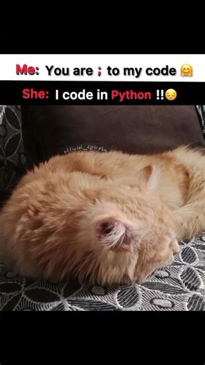 The pain of switching from Java to Python is real. Who else relates? | DJ Pirate