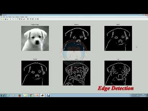 Image Segmentation Using MATLAB