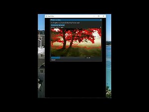 DearPyGui動画再生v2