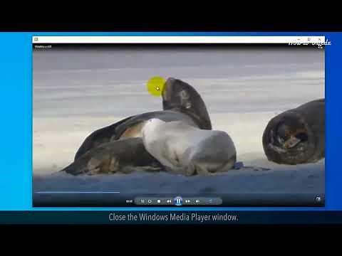 How to Play a Video File or Movie File in Windows :Tutorial