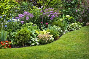 Landscape Design for Beginners