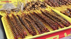 Eating insects? Insect snacks can be found on Beijing's famous Wangfujing Street. Why would anyone eat bugs? Check the video to find out. | China Plus Culture