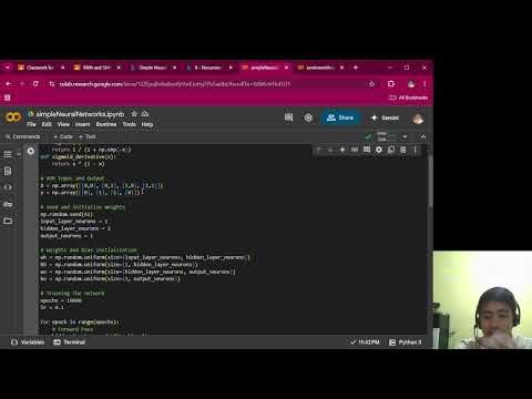 Neural Networks Explained: Simple NN & RNN Projects with Python