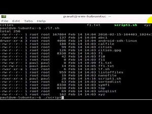 How to Run a File in Unix