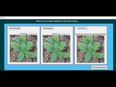 Weeds and Crop Image Classification using Deep Learning Technique | MATLAB Final Year Project