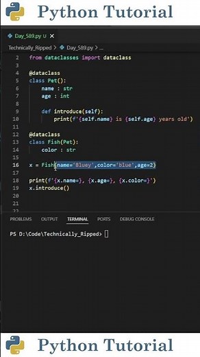 Dataclass Inheritance In Python | Python Tutorial