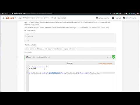 Help with zyBooks, input, and output