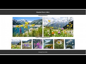 Using JAvaScript to Display Images