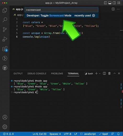 Expose Keystrokes in VS Code