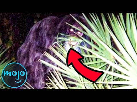 Top 10 Famous Real Life Monsters Caught on Camera
