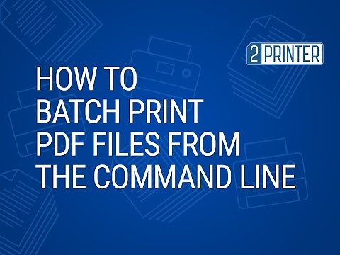 How to batch print pdf from command line in Windows (2Printer)
