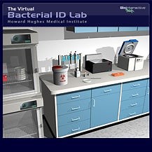 Bacterial Identification Virtual Lab