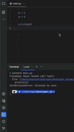 What happens if you divide by zero in Python
