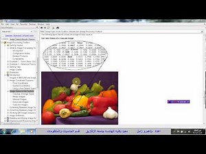 LEC01_ Introduction to Image Processing Using MATLAB
