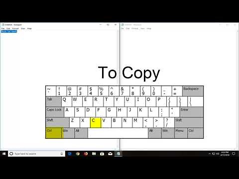 How to Copy and Paste on Any Device