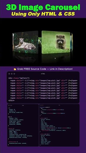 3D Image Carousel Using Only HTML & CSS | No JavaScript Needed 😍 #shorts