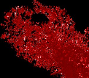 Blood Spatter Analysis - Animated Science