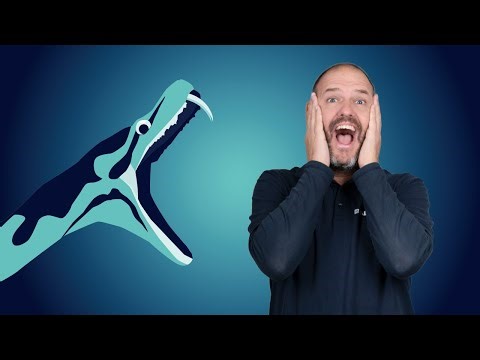 What is Python? (the programming language)