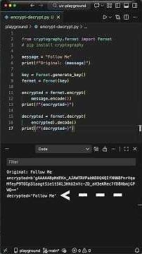 THIS is how Python Cryptography works
