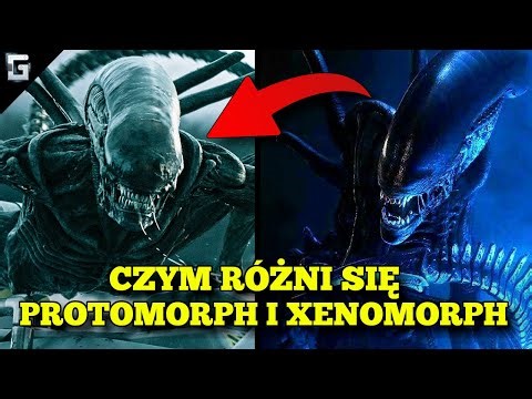 Czym różni się Protomorph od Xenomorpha?