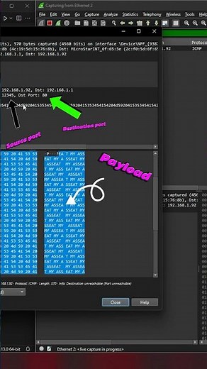 How to send a custom UDP Packet using Python! #100daysofcoding