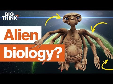 Alien biology: What might ET actually look like? | Michio Kaku, E.O. Wilson, & more | Big Think