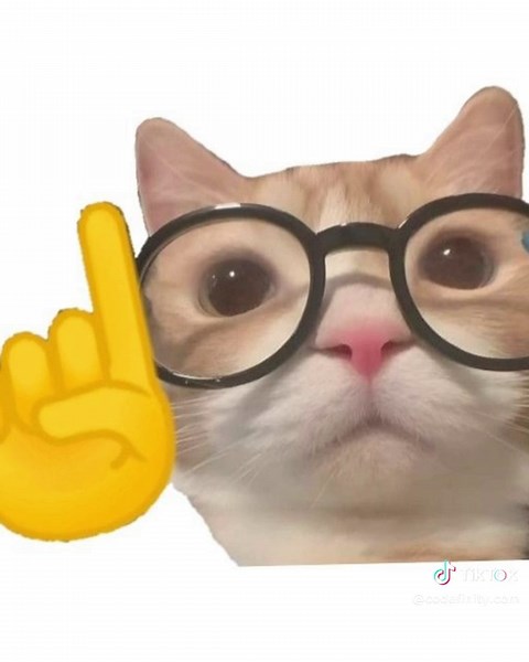 Aprende Python de manera divertida y adictiva