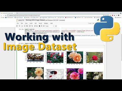 Working With Image Dataset in Python Using TensorFlow