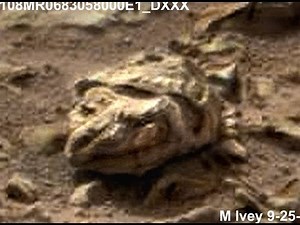 NASA Chief says there is Life on Mars - THE EVIDENCE