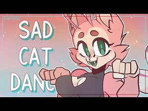 ✧ SAD CAT DANCE ✧ MEME