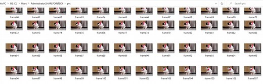 Read Video Frames In Python
