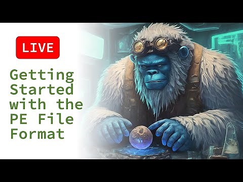 🔴 Getting Started with the Portable Executable File Format