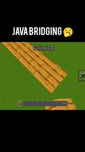 java bridging vs bugrock bridging #RohanTikkuMC